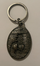 Lost Canyon Wisconsin Dells WI Keychain Key Chain - £7.83 GBP