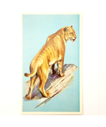 1975 SMILODON Dinosaur Card Vintage Prehistoric Animal Illustration Ephe... - €21,47 EUR