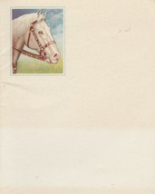Vintage Greeting Card Stationery Horse in Bridle Blank Inside 1950&#39;s - $6.92