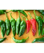 FMG 25 Seeds Chimayó Chile Pepper Vegetables ing Edible Food Fast Grow - €11,62 EUR FMG 25 Seeds Chimayó Chile Pepper Vegetables ing Edible Food Fast Grow - €11,62 EUR