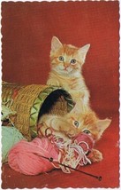 Postcard Cute Two Kittens In Basket Knitting Time Long Point Beach Fort Erie ON - $2.96