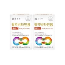 Chong Kun Dang Vitality Vitamin-B Plus (800mg * 60ea) * 2pack - $47.69