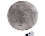 Moon In My Room - £35.92 GBP