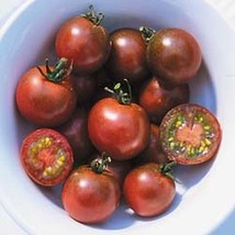 Grow 120 Brown Berry Tomato Seeds Heirloom Non Gmo Organicrare - $9.11