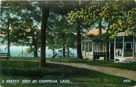 DB NH Postcard L423 A Pretty Spot at Chippewa Lake Cabin Man on Bench Germany - $7.43