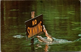 Homosassa Springs, FLORIDA - Gator Lagoon - &quot;No Swimming&quot; - 1976 - $9.96