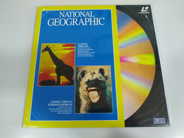 National Geographic African Wildlife Lions Hyenas Eternal Enemies LASERD... - $506.44 MXN