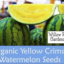 New Organic Yellow Crimson Watermelon Seeds 15 Seeds Organic Melon Seeds Yellow  - $9.98