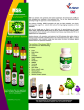 Flu Guard-Family Travel MSR Kit Aganist infection (3 items kit) image 2