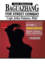 Nine Dragon Baguazhang Street Combat #1 Postures &amp; Eight Palms DVD John Painter - £40.90 GBP