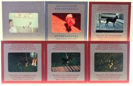 Item image 11