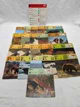 Lot Of (21) 1975 Rencontre Mammals III Education Cards - £14.98 GBP