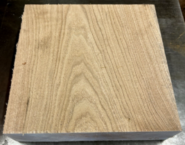 ONE (1) BEAUTIFUL BUTTERNUT BOWL BLANK LUMBER WOOD LATHE TURNING 12&quot; X 1... - $59.35