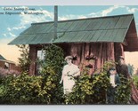 Cedar Stump House Everett WA Washington UNP DB Postcard Q7 - $9.85