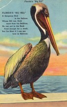Florida&#39;s &quot;Big Bill&quot; Unposted Vintage Postcard Pelican West Palm Beach Florida - £11.89 GBP