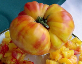 Fresh Big Rainbow Tomato 50 Seeds US Seller - £13.88 GBP