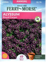 GIB Alyssum Royal Carpet Flower Seeds Ferry Morse  - $9.00