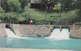 Twin Falls Roaring River State Park Cassville Missouri MO Postcard C48 - £2.38 GBP