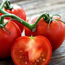 50 Seeds Ultra Sweet Tomato Vegetable Garden Edible Canning Fresh Seeds - $10.50