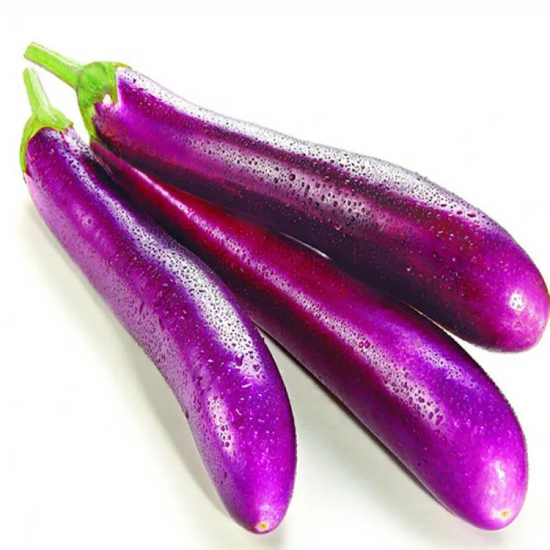 Eggplant Long Purple Vegetable Garden Heirloom NON GMO 200 Seeds - $9.60