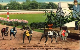 Linen~Greyhound Race @ West Flagler Kennel Club Miami FL~Vintage Postcard A3 - £17.72 GBP