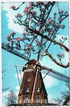Postcard Springtime In Holland Windmill Cherry Blossoms Netherlands - £3.15 GBP