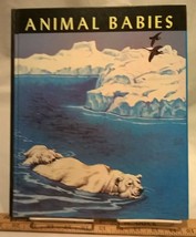 Animal Babies by Margaret Jean Bauer (1972 Hardcover w/o DJ) - £22.04 GBP