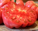 Delicious Tomato Seeds Non Gmo 50 Seeds7 Poundsndeterminate Giant Fast S... - $8.99