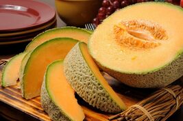 Iroquois Melon Seeds, NON-GMO, American Cantaloupe, Muskmelon, FREE SHIP... - €1,69 EUR+