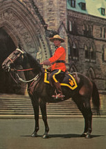 Royal Canadian Mounted Policeman Postcard Vintage 1960s - £3.11 GBP