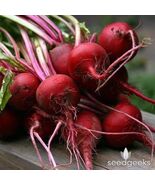 Organic Heirloom Tall Top Early Wonder Beet Seeds - $4.95