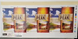 Gold Peak Iced Tea True Taste of Tea Pre Production Advertising - £15.14 GBP