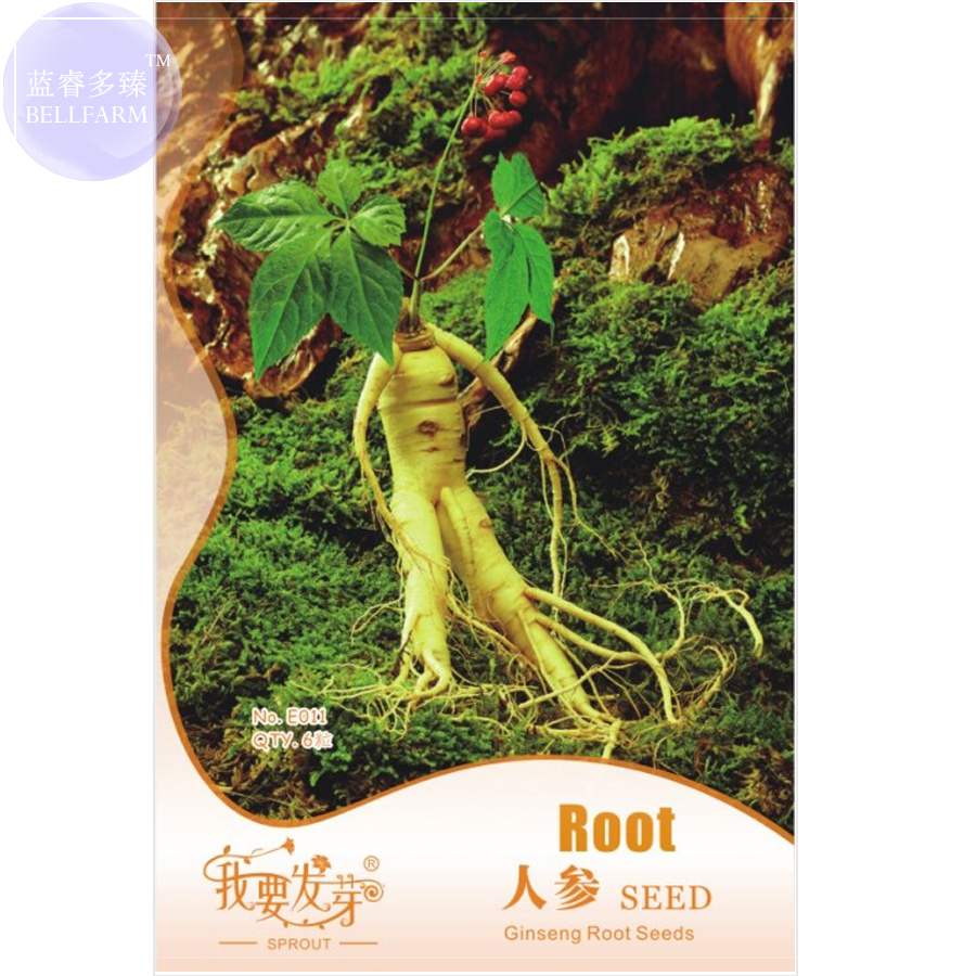 Ginseng Herbs Seeds 6 Seeds - $7.99