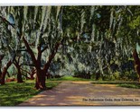 Pakenham Oaks Nuovo Orleans La Unp Lino Cartolina Y6 - $3.39
