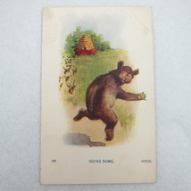 Antique 1908 Postcard Anthropomorphic Bear Chase Honey Bees Hive BS Porter RARE - $9.99