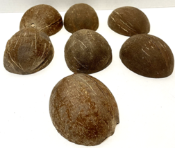Coconut Hard Half Shells Small 4 Inches Lot of 7 for Crafting Projects - $15.57