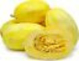 20 Seeds Spaghetti Winter Squash - £5.99 GBP