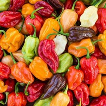 Hot peppers mix seeds,code 810, mixed bell peppers, gardening, vegetable seeds,r - £3.97 GBP