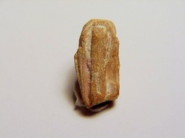 EUXENITE-(Y) - Sharp Crystal - Samiresy, Betafo, MADAGASCAR - $199.00