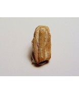 EUXENITE-(Y) - Sharp Crystal - Samiresy, Betafo, MADAGASCAR - $199.00