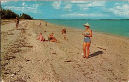 Shelling On Sanibel and Captiva Island Beaches FL Postcard ~ Florida (B) - £3.89 GBP