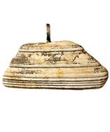 Vintage Maine Clam Sea Shell Necklace Pendant Handmade Nautical Jewelry E8A - $372.80 MXN