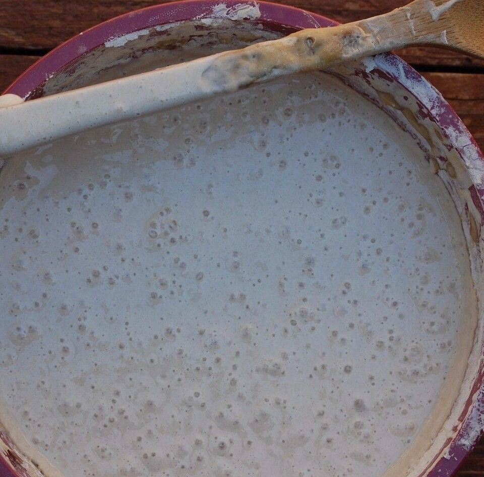 Primary image for THE BEAST sourdough starter 10 sourdough yeasts in 1 starter @fresh d