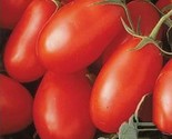 50 Organic Roma Tomato Seeds For 2023 Determinate Non Gmo Organic  Fast ... - $8.99