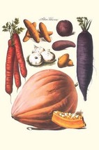 Vegetables; Carrot, potato, onion, and pumpkin by Philippe-Victoire Lev que de V - £17.29 GBP+