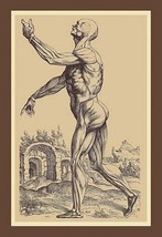 The Second Plate of the Muscles by Andreas Vesalius - Art Print - £17.57 GBP+