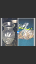 Decorative Glass Vase 8" with bag Of Citrus Potpourri - $44.99