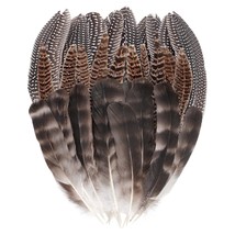 30 Pcs 15-22Cm Natural Pheasant Feathers 3 Style Mixed Natural Feathers For Diy  - £11.78 GBP