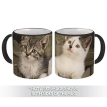 Cat : Gift Mug Pet Animal Kitten White Cute Feline Pets Lover Cat Mom Dad - £12.57 GBP