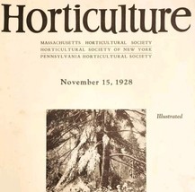 Horticulture Illustrated November 1928 Antique Magazine Gardening Plants DWNN6 - £24.17 GBP